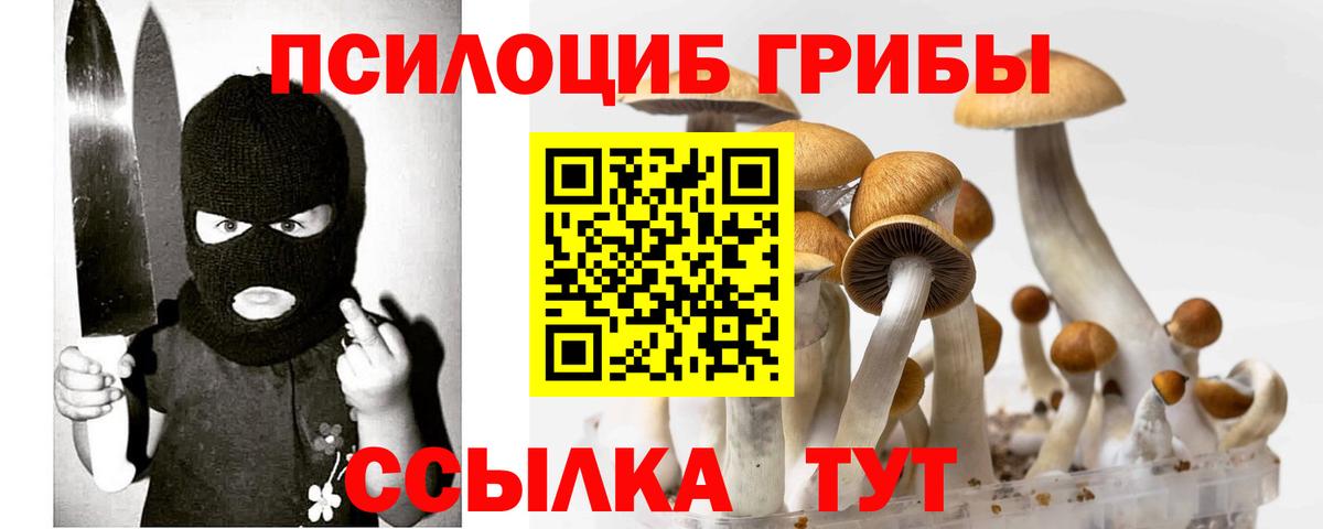 Галлюциногенные грибы GOLDEN TEACHER Великий Новгород