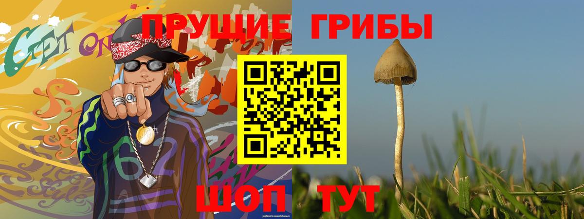 Великий Новгород  Галлюциногенные грибы MAGIC MUSHROOMS  Вход с VPN 